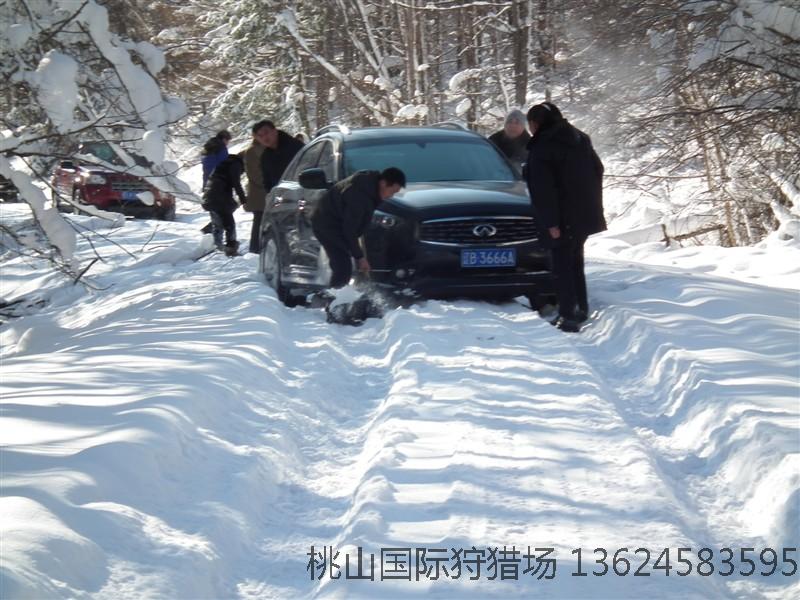 沈阳游客在桃山狩猎场 狩猎场_桃山国际狩猎场